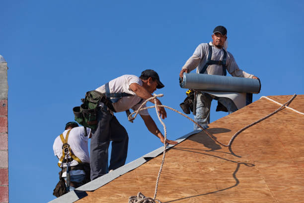Professional Roofing Contractor in Genola, UT