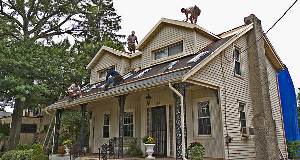 Best Roof Leak Repair  in Genola, UT