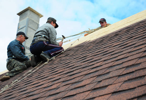 Best Residential Roofing Contractor  in Genola, UT